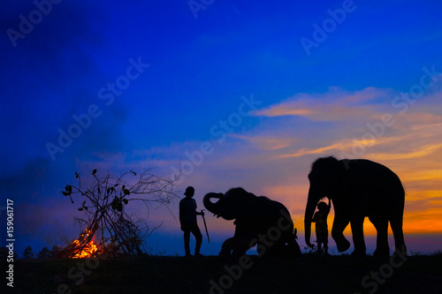 SILHOUETTE OF ELEPHANTS AND THEIR KEEPERS © Beatrice