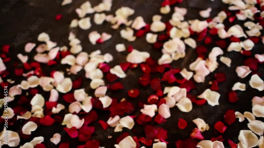 white and red rose petals on the floor in the restaurant white and red rose petals on the floor in the restaurant