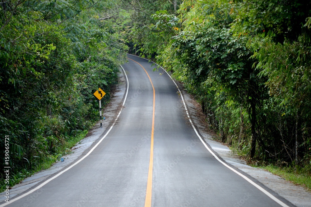 curve concrete road  way to wild