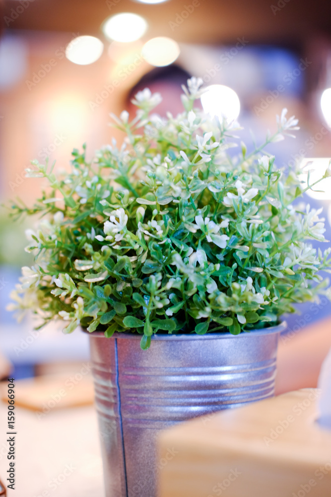 Fototapeta premium Artificial plant in tin can