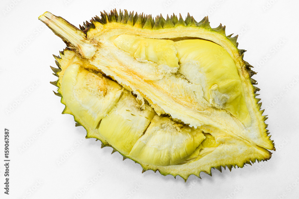 Fruit, Durian on white background Fruit, Durian on white background