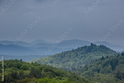 Pfälzer Wald