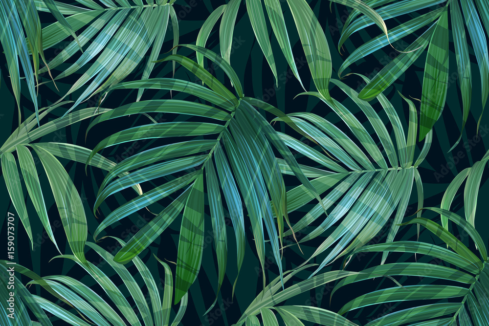 Fototapeta premium Wektor liści palmowych. Tropikalny wzór liści. Bananowy liścia tło. Egzotyczny projekt odizolowywający. Druk hawajski. Rośliny dżungli. Ilustracja lato.