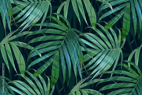 Fototapeta Frond palmowy wektor. Wzór tropikalny liści. Tło liści bananowych. Egzotyczny wzór na białym tle. Wydruk hawajski. Rośliny dżungli. Ilustracja lato.