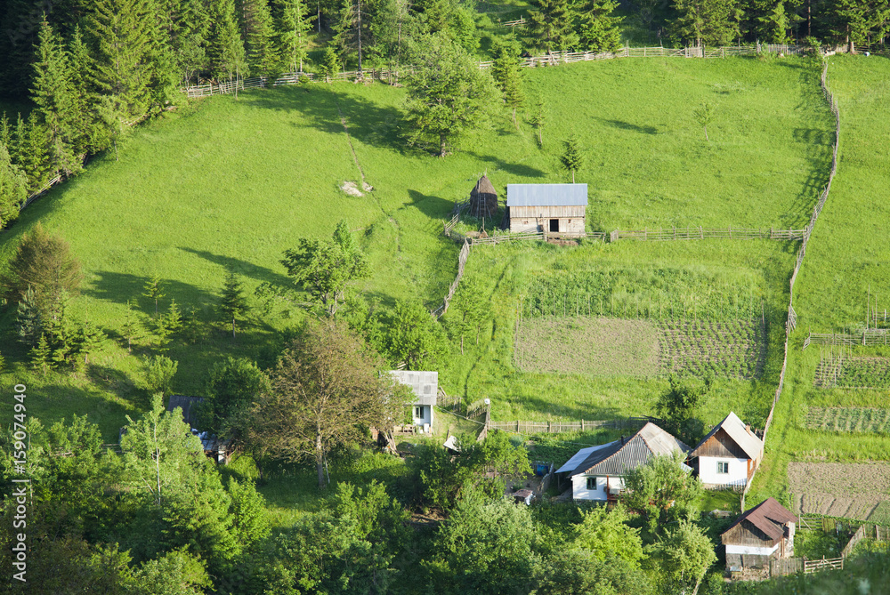 summer garden and household in Romania