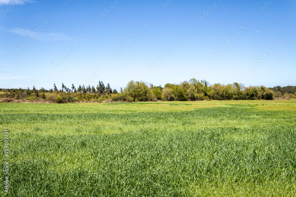 Obraz premium Idyllic landscape in Asturias in Spain