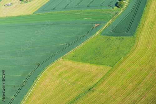 agriculture landscape with power line from above © Firma V