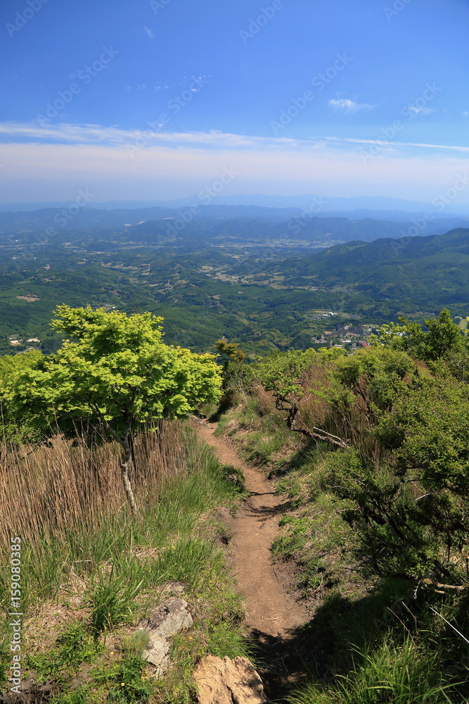 絶景　鶴見岳のミヤマキリシマ