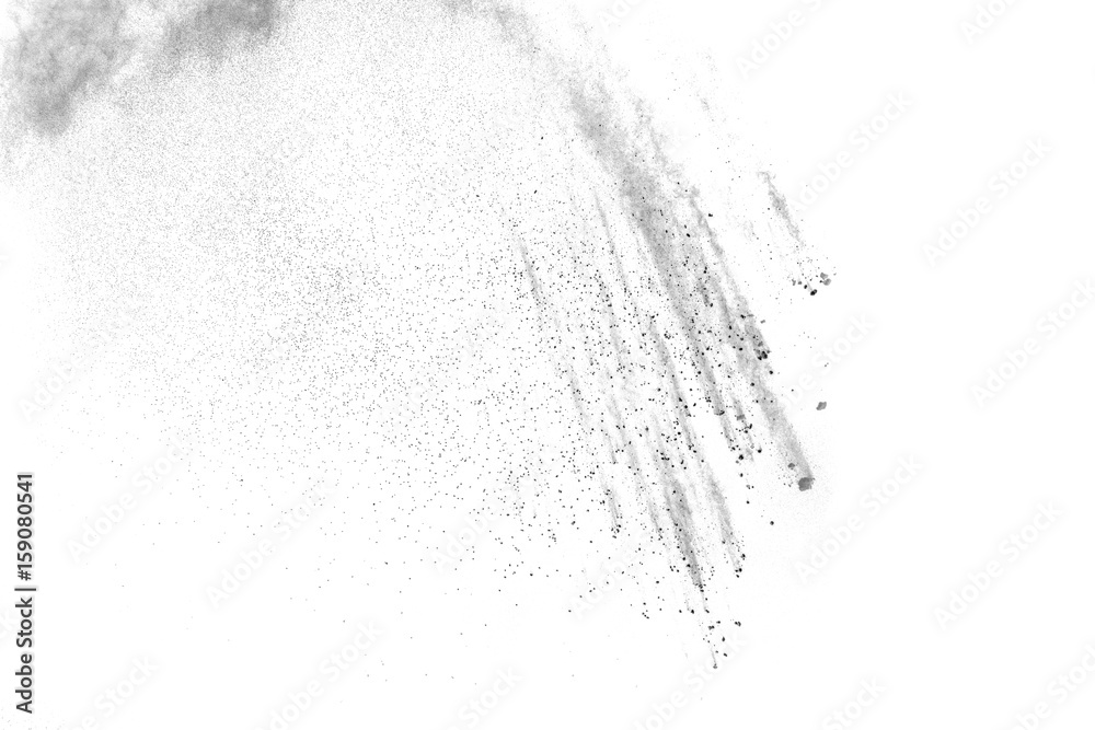 Obraz premium particles of black dust on white background,abstract powder splatted on white background