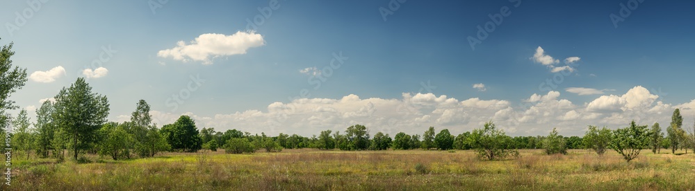 Panorama. Green meadow. The Ukrainian steppe. Summer. Panorama. Green meadow. The Ukrainian steppe. Summer.