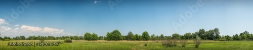 Panorama. Green meadow. The Ukrainian steppe. Summer.