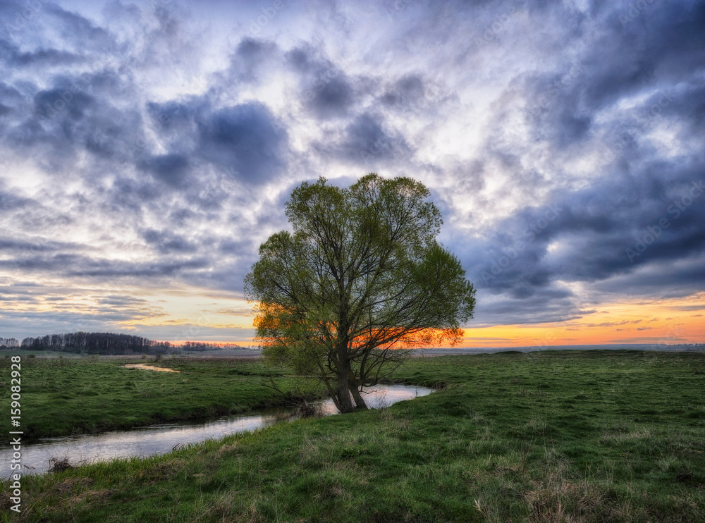 Fototapeta premium Spring morning