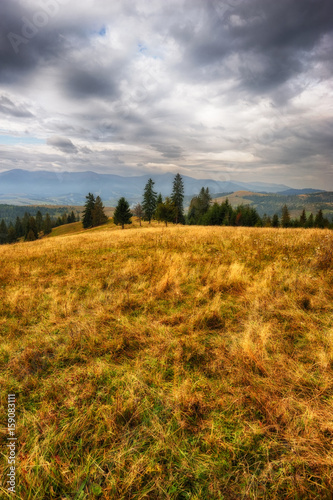 Morning in the Carpathians