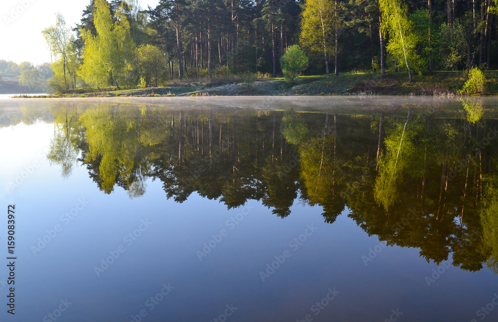 Forest is reflected in the calm blue water of the forest lake. Early morning. Forest is reflected in the calm blue water of the forest lake. Early morning.