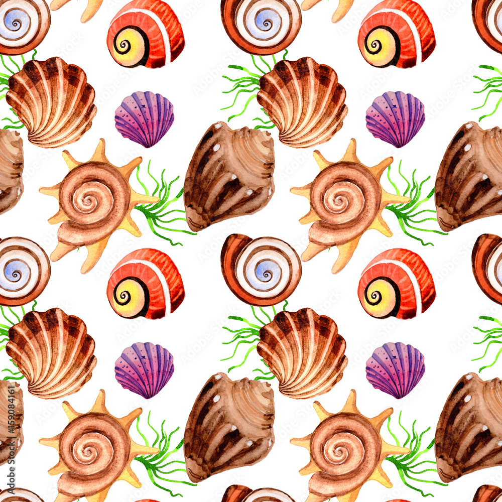 Watercolor summer beach seashell tropical elements pattern, underwater creatures. Watercolor summer beach seashell tropical elements pattern, underwater creatures.