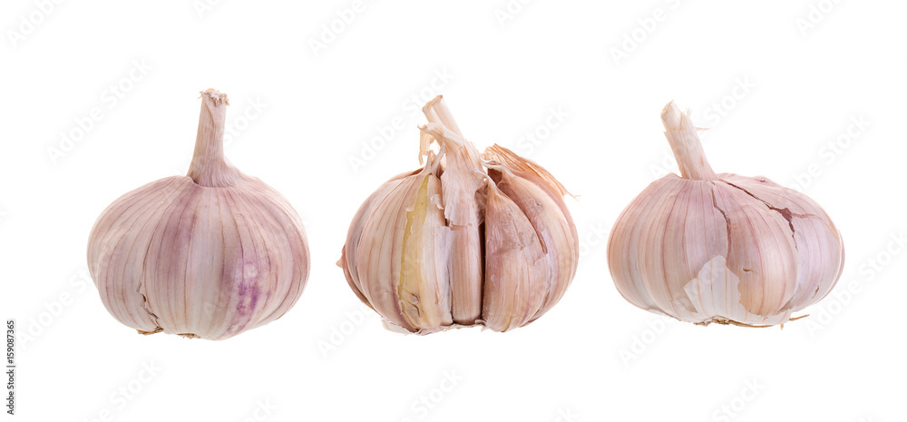 Garlic isolated on a white background Garlic isolated on a white background