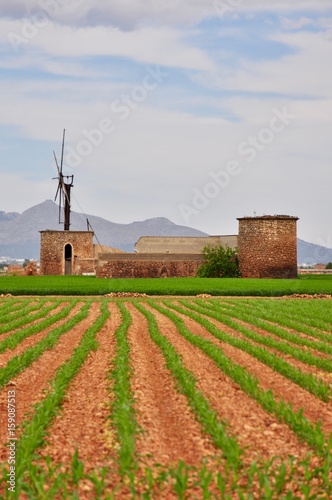 Bauernhof mit Windmühle zwischen Sa Pobla und Muro photo