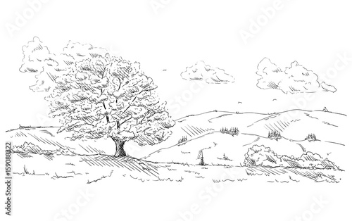 tree at landscape