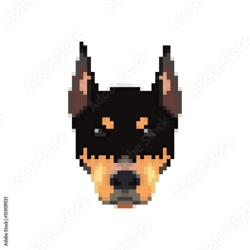 Doberman head in pixel art style. Dog icon. Vector illustration.