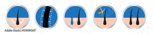 hair logo set vector , 9 icon / skin uv include