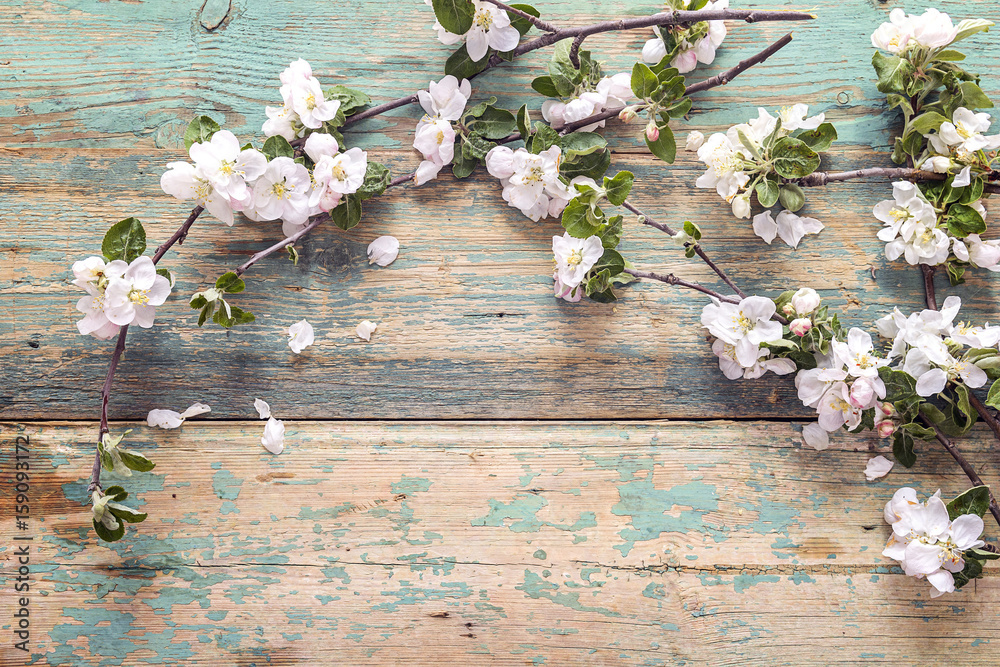 Blossoming apple tree branches on old wooden background. Copy space. Blossoming apple tree branches on old wooden background. Copy space.