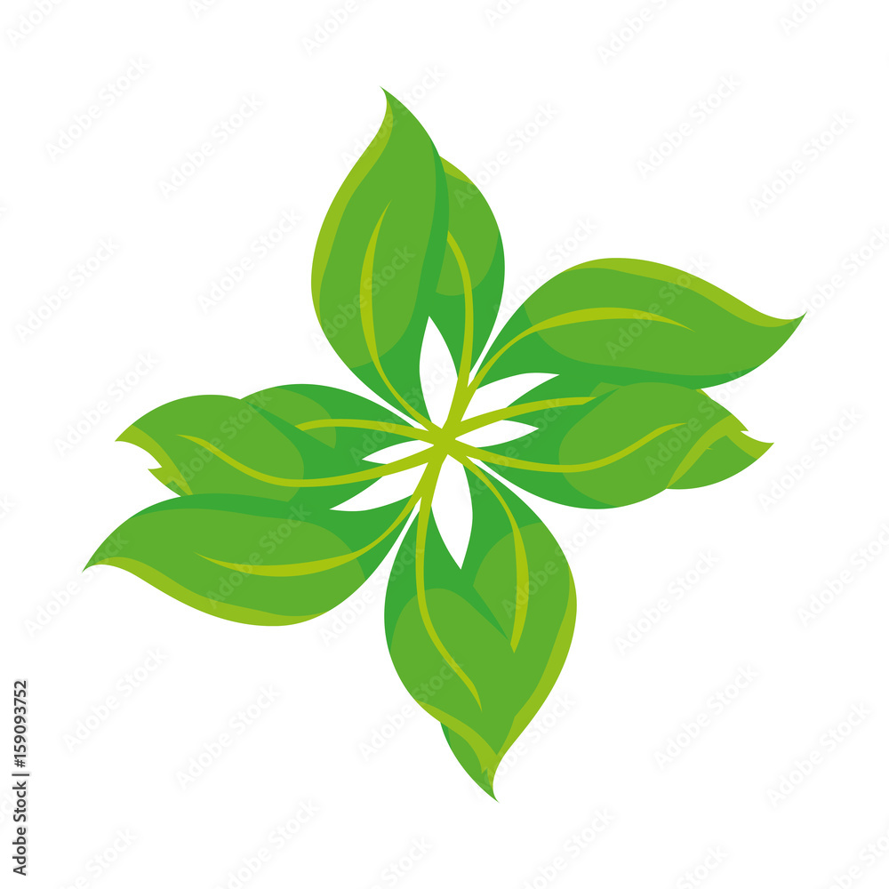 leaves icon over white background colorful design vector illustration