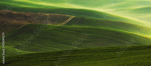 Green field © sergnester