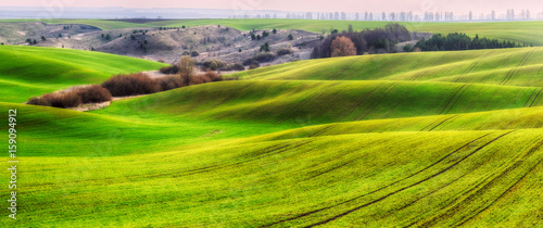 Green field © sergnester