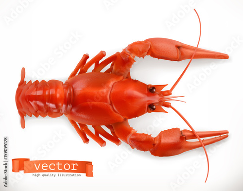 Red crayfish. 3d vector icon. Seafood, realism style