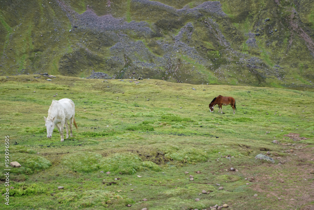 Fototapeta premium Rainbow Mountain