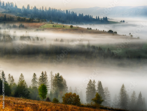 Carpathian morning © sergnester