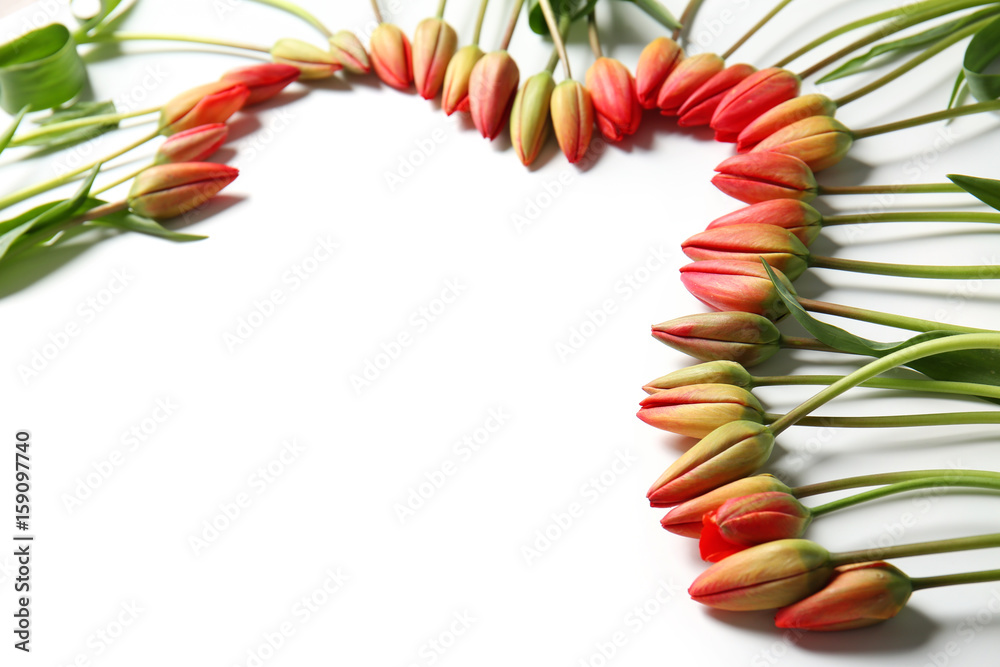 Beautiful tulip flowers on white background Beautiful tulip flowers on white background