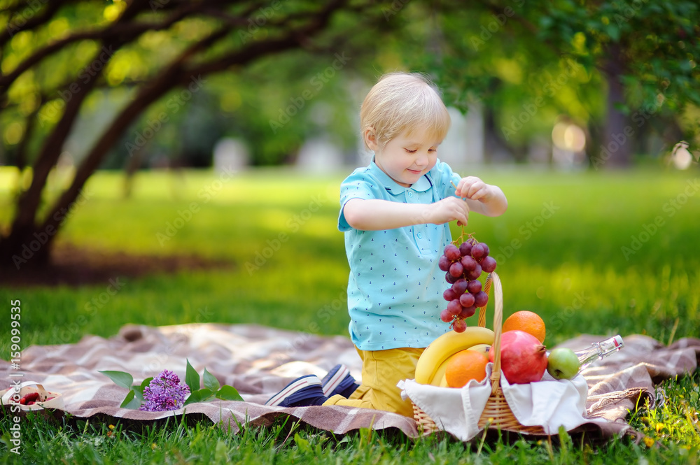 Beautiful little boy having a picnic in summer sunny park Beautiful little boy having a picnic in summer sunny park