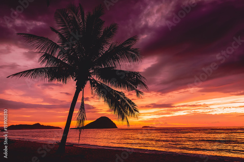 Fototapeta Naklejka Na Ścianę i Meble -  Red sunset and palm tree on tropical island