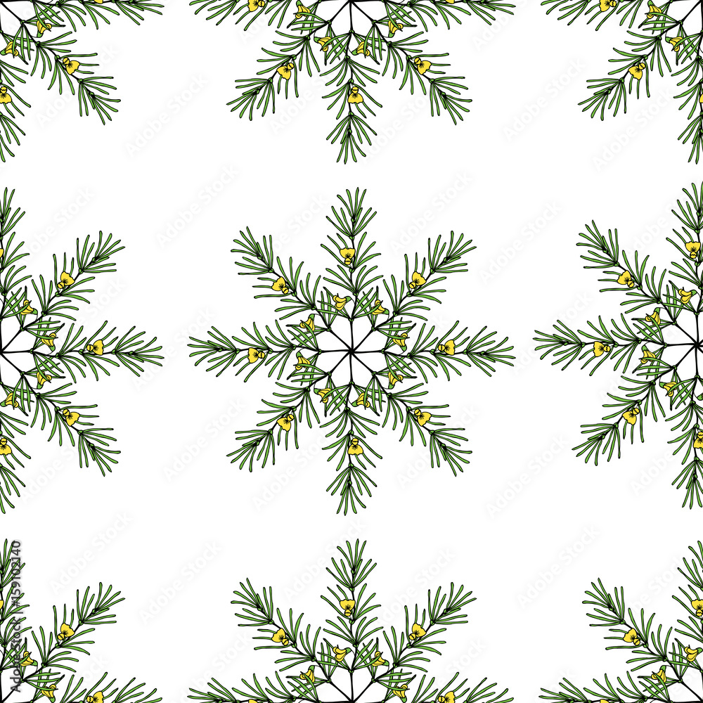Rooibos tea plant, leaf, flower. Hand drawn ink sketch illustration in color, lineart. African rooibos tea, hot drink. Herbal tea. Seamless pattern. Rooibos tea plant, leaf, flower. Hand drawn ink sketch illustration in color, lineart. African rooibos tea, hot drink. Herbal tea. Seamless pattern.