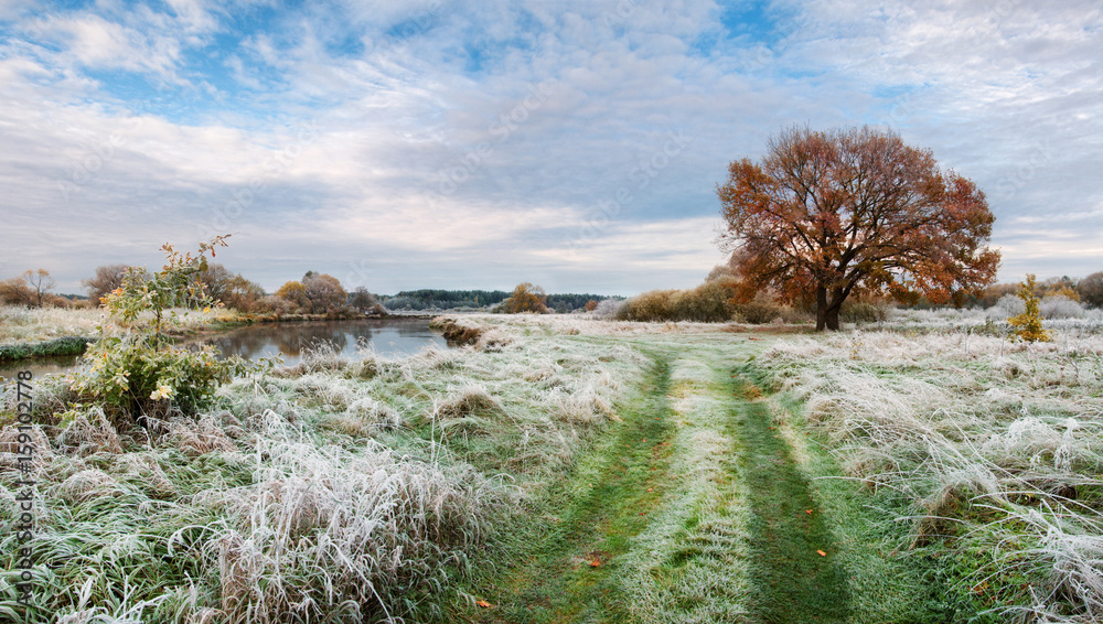 Autumn Landscape. Red Wood On The River Bank. Green Grass On The Shore Covered With First Frost And Sky With Clouds. Morning Landscape In Late Autumn,With Lonely Oak And Road Along The River.Belarus