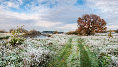 Obraz na płótnie Autumn Landscape. Red Wood On The River Bank. Green Grass On The Shore Covered With First Frost And Sky With Clouds. Morning Landscape In Late Autumn,With Lonely Oak And Road Along The River.Belarus w salonie