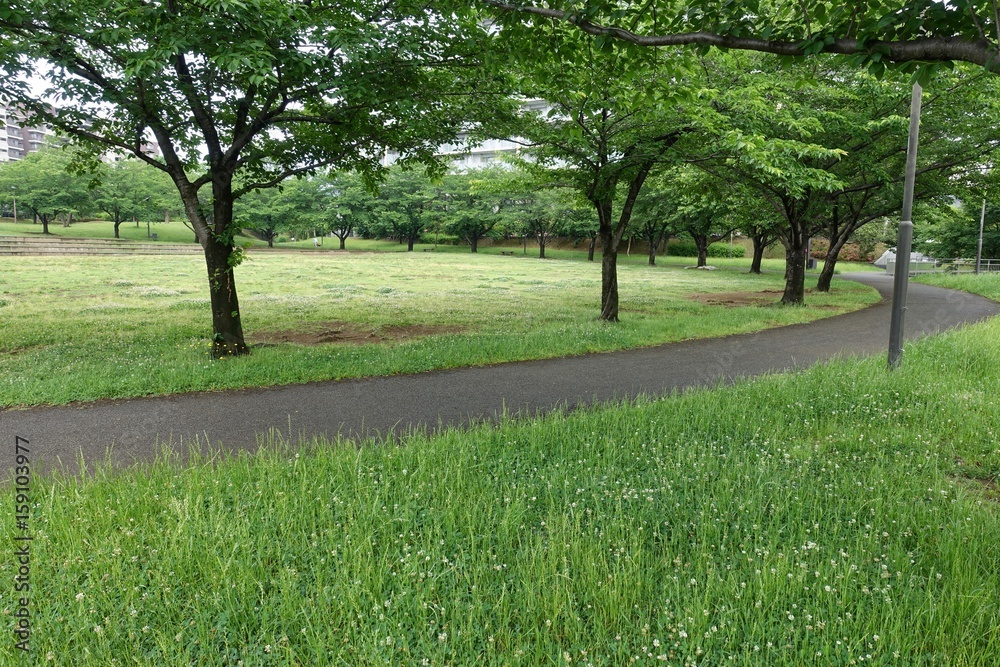 初夏の公園 初夏の公園