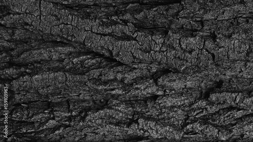 Wood black and white texture background