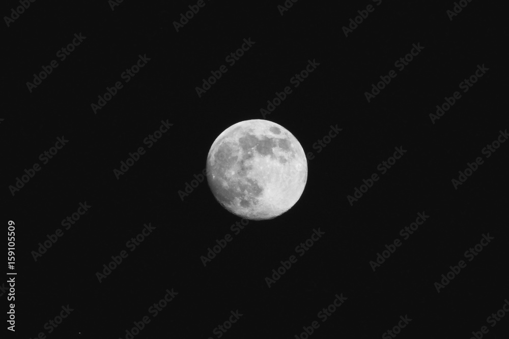 Moon