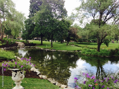 Beautiful pond