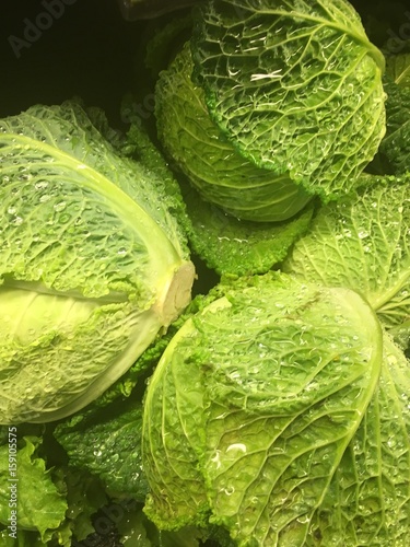 Fresh cabbage