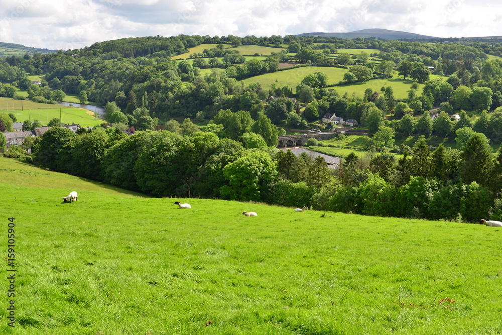 Looking down into the valley at the village of  Inistioge in Summertime
