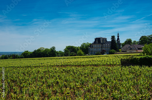 F, Burgund, Côte d'Or, die berühmten Weinlagen bei Gevrey-Chambertin, Blick auf Château Brochon