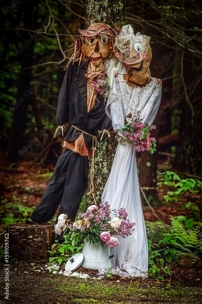 Groom Groom