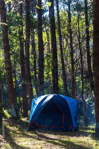 Camping tent under pin tree with smoke from cooking