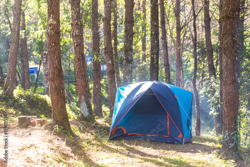 Camping tent under pin tree with smoke from cooking