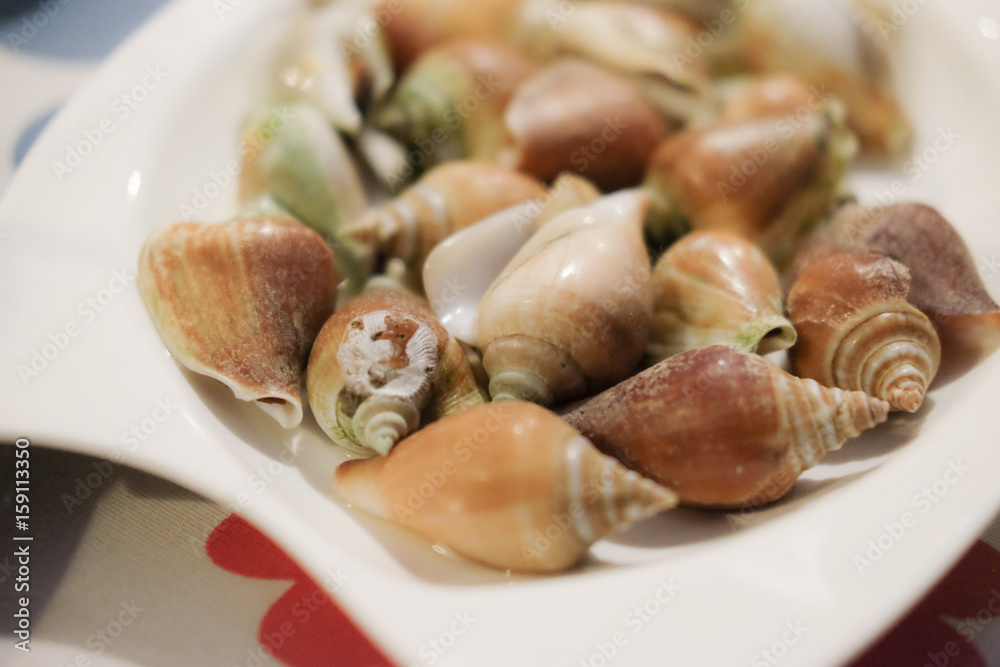 Boiled fresh Laevistrombus canarium or sea snail Boiled fresh Laevistrombus canarium or sea snail