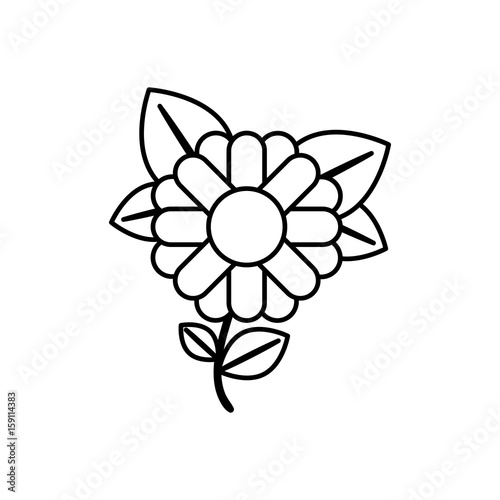 monochrome contour abstract sunflower with stem and leaves in closeup vector illustration