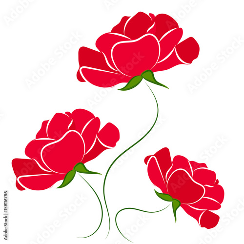 Beautiful roses vector